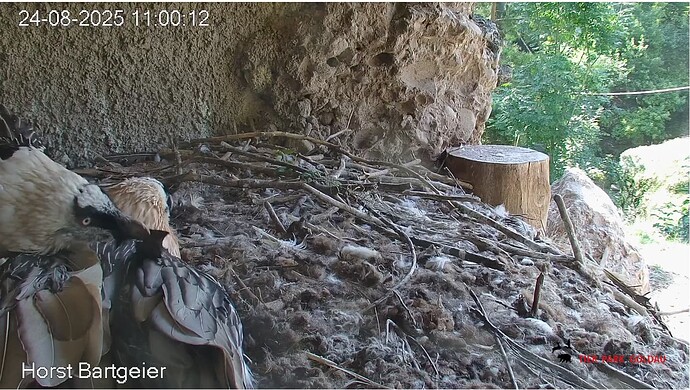 Screenshot_20250824-110118~2