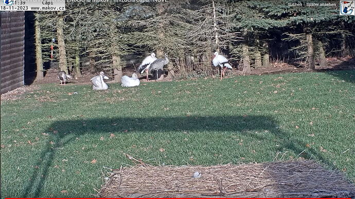 Snap_2023.11.18_14h52m11s_009_