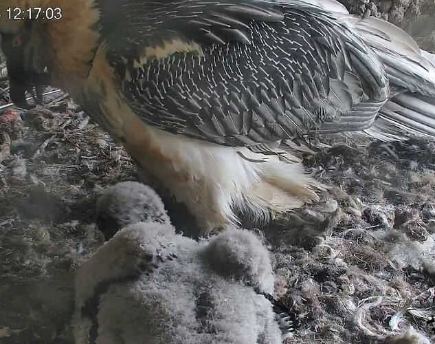 Screenshot_2024-04-03-12-17-15-247_com.android.chrome