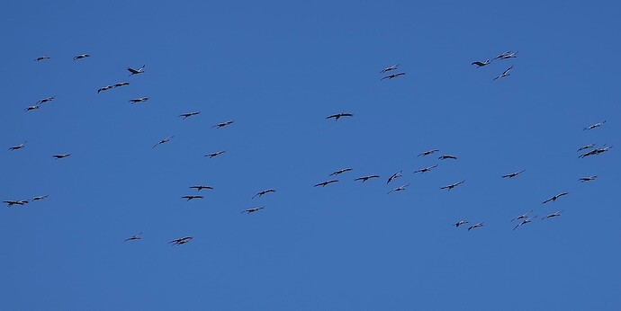 DSC03085