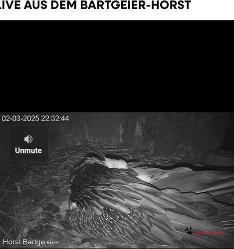 Screenshot_20250302-223350~3