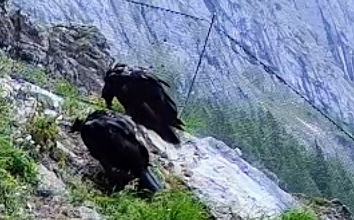 Screenshot_2025-06-16-16-08-13-861_com.android.chrome