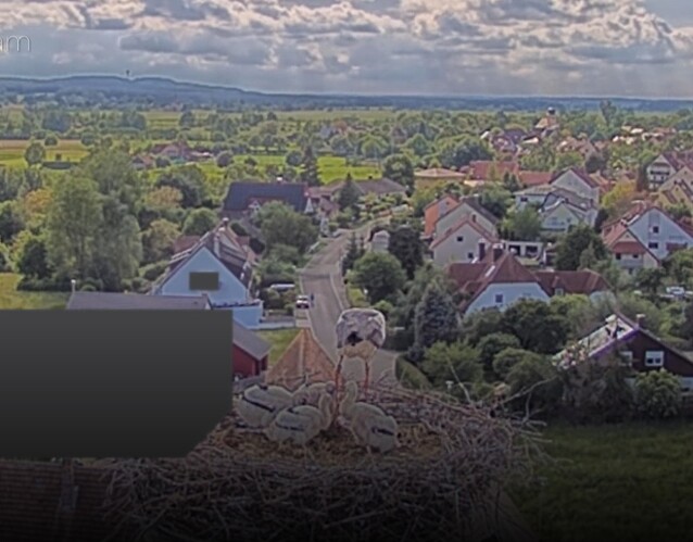 Screenshot_20240522_171025_Chrome