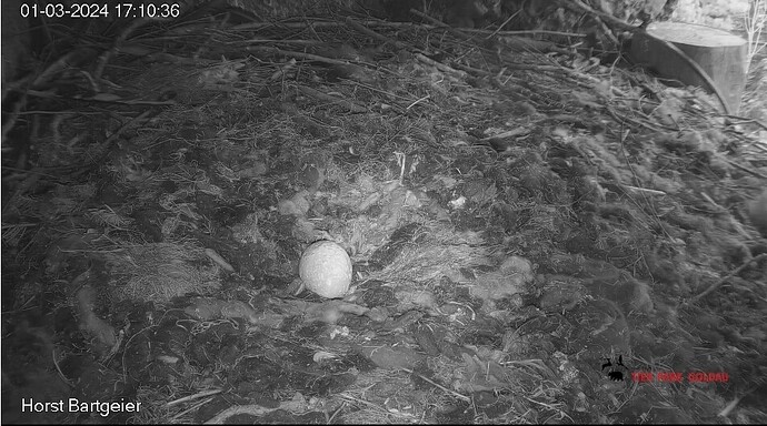 Screenshot_20240301_171102_Samsung Internet