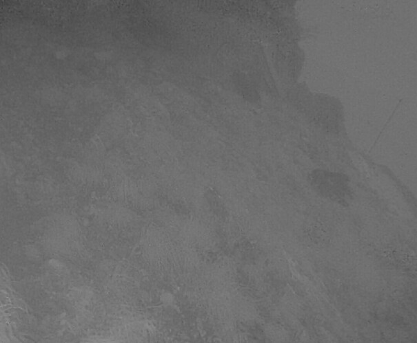 Screenshot_20240623_043719_Chrome