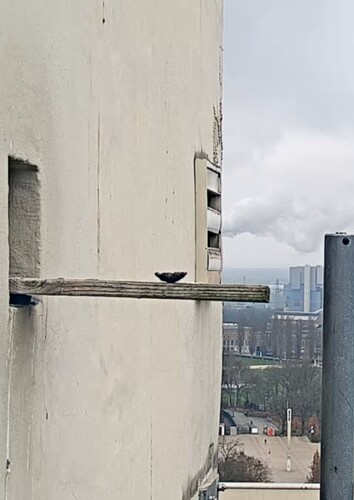 Screenshot_20250228_135431_Chrome