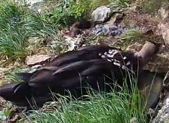 Screenshot_2025-06-28-11-38-42-322_com.android.chrome