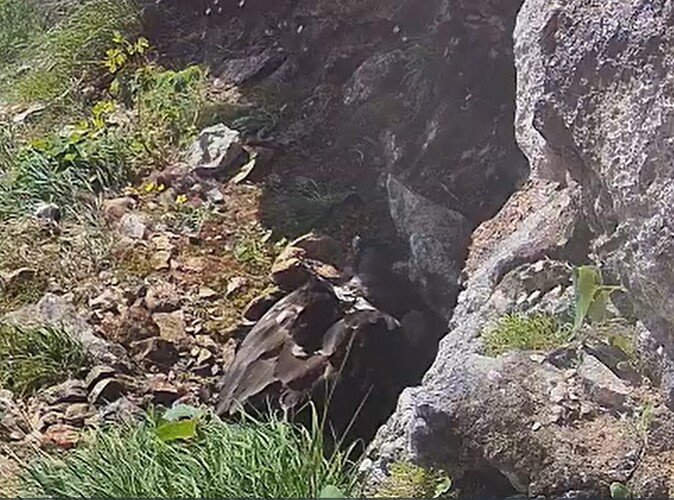 L. in Wanne 12.06.25