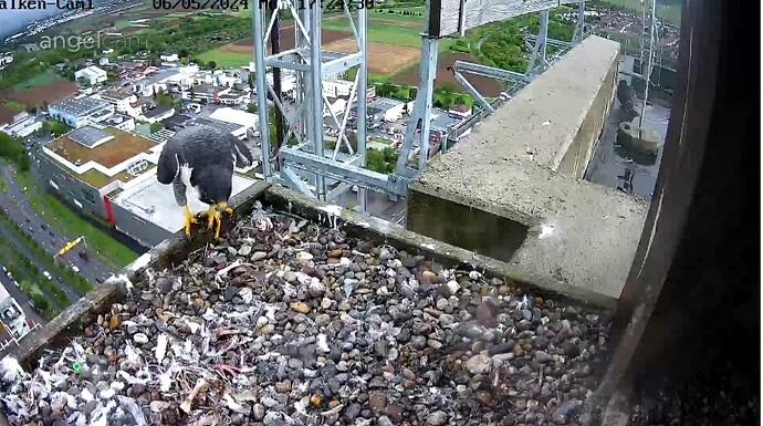 Screenshot_20240506_172451_Chrome