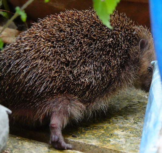 DSC04581