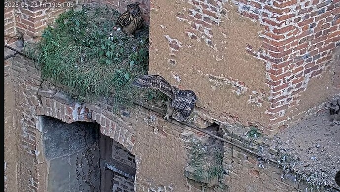 Screenshot_20250523_222548_YouTube