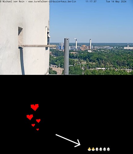 Screenshot_20240514_111753_Chrome