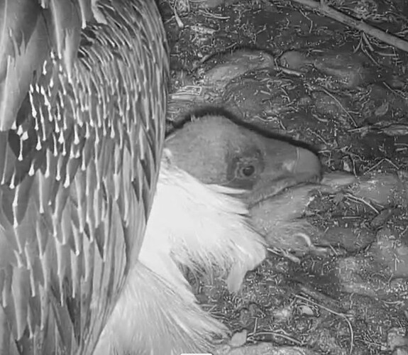 aus dem Schlaf gerissen 1 25.03.24