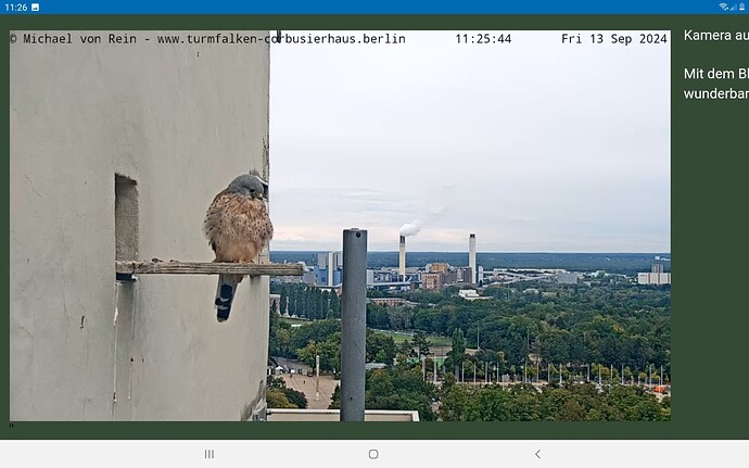 Screenshot_20240913-112603_Chrome