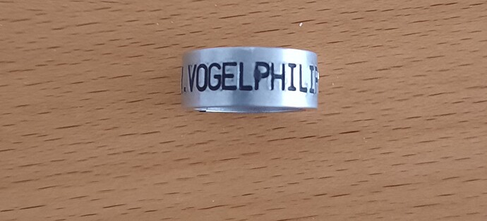 VogelPhilipp2