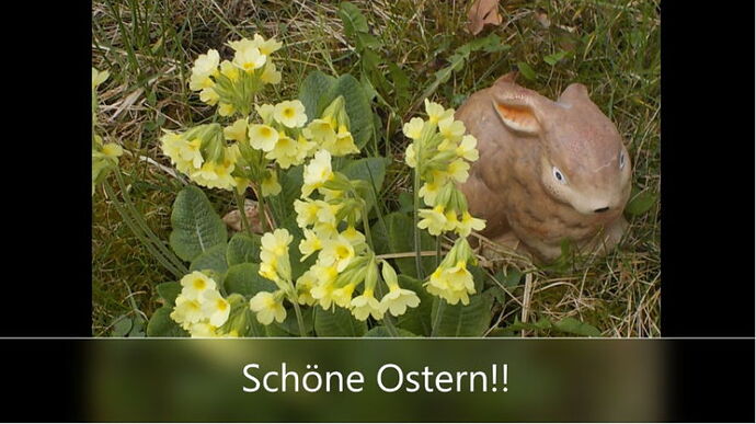 Snap_2024.03.30_09h13m43s_003_