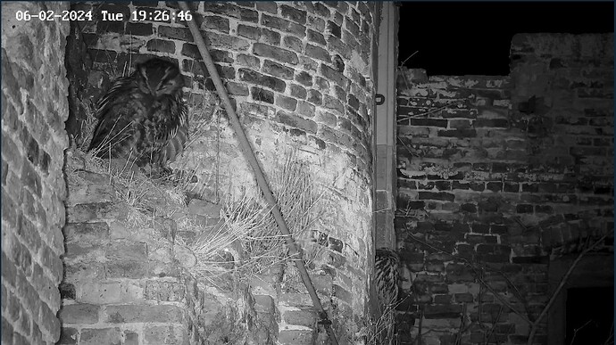 Screenshot_20240206_192657_Chrome~2