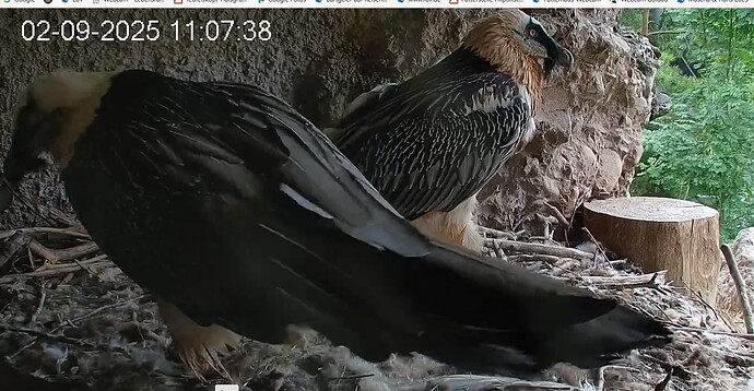 M u. H. zuhause 02.09.25