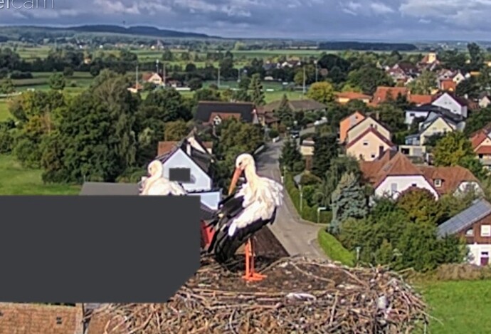 Screenshot_2025-09-05-09-16-46-601_com.android.chrome~2