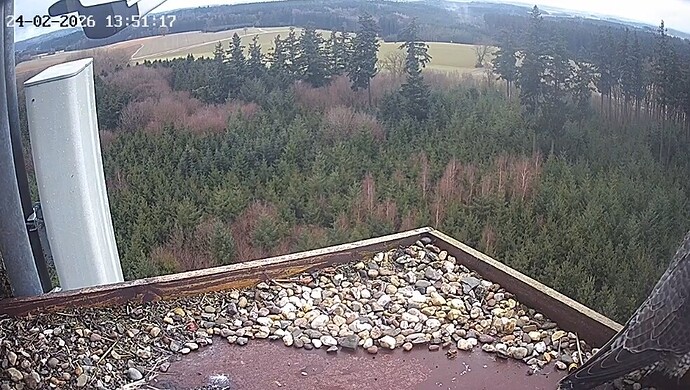 Screenshot_20260224_135105_Chrome