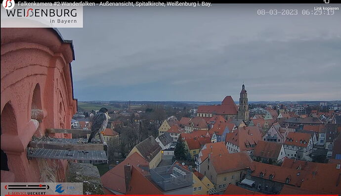 Snap_2023.03.08_06h29m33s_002_