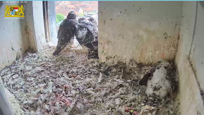 Snap_2023.05.07_14h35m19s_002_