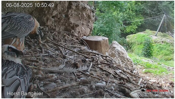 Screenshot_20250806-105152~2