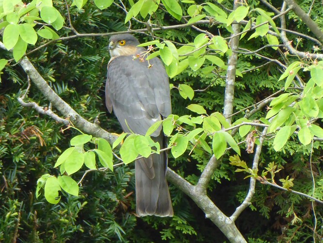 P1000576