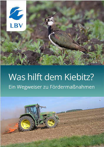 Bild Förderwegweiser