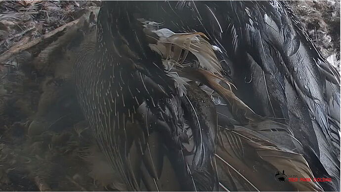 Snap_2024.04.20_15h51m22s_006_