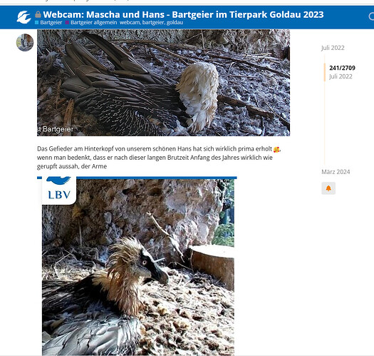 Screenshot 2025-10-28 164237