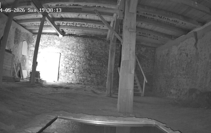 2026-04-05_5 Hufis in der Erdhalle vor der Jagd