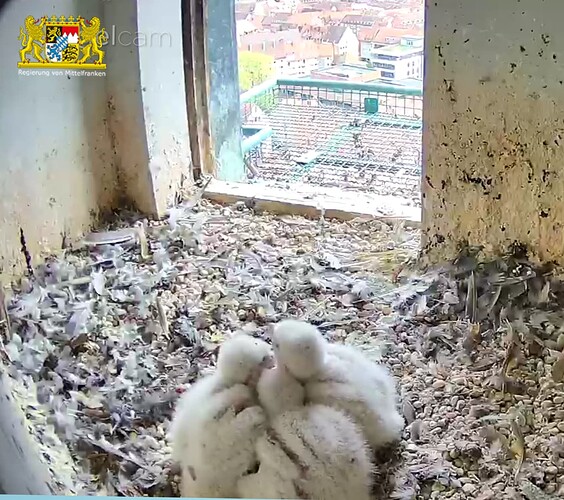 Screenshot_20230416-153312~2