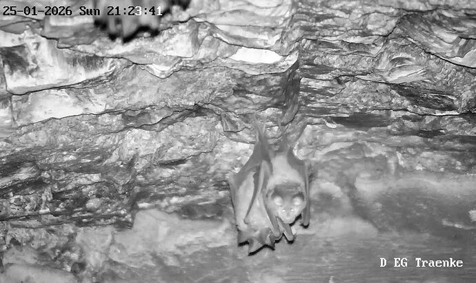 2026-01-25_6a ab 20.00 Zoom auf Cluster