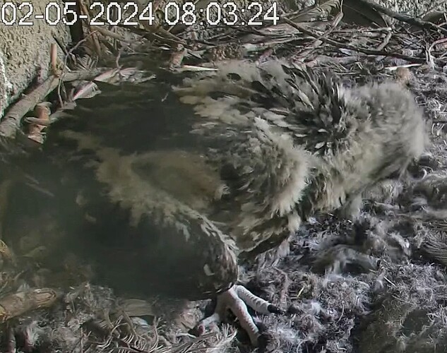 Screenshot_2024-05-02-08-04-30-005_com.android.chrome