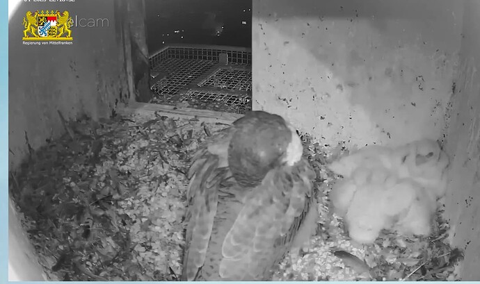 Screenshot_20230418-221716~2