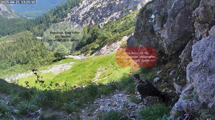 Bildschirmfoto vom 2025-06-21 13-25-31