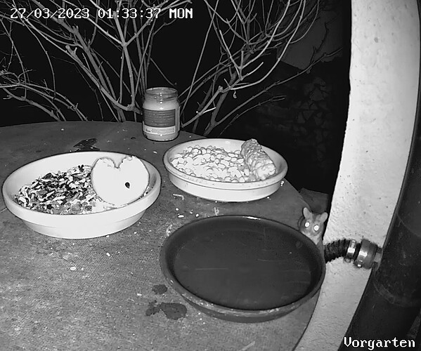 Vorgarten_playback_1679896004515