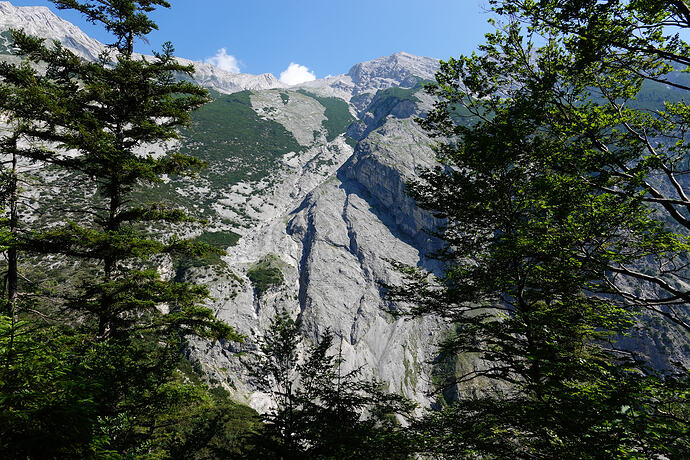 DSC03088