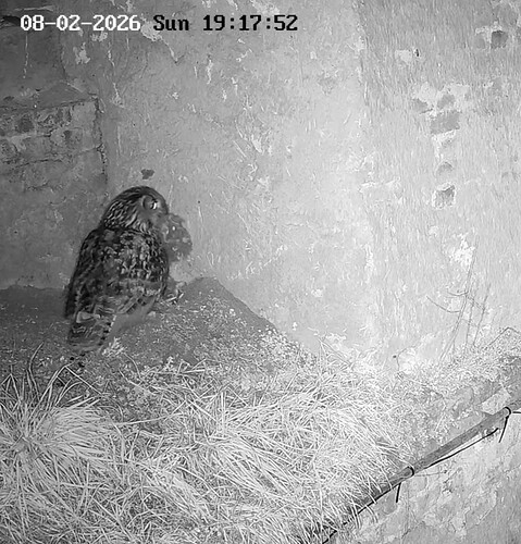 Screenshot_20260208_210254_YouTube