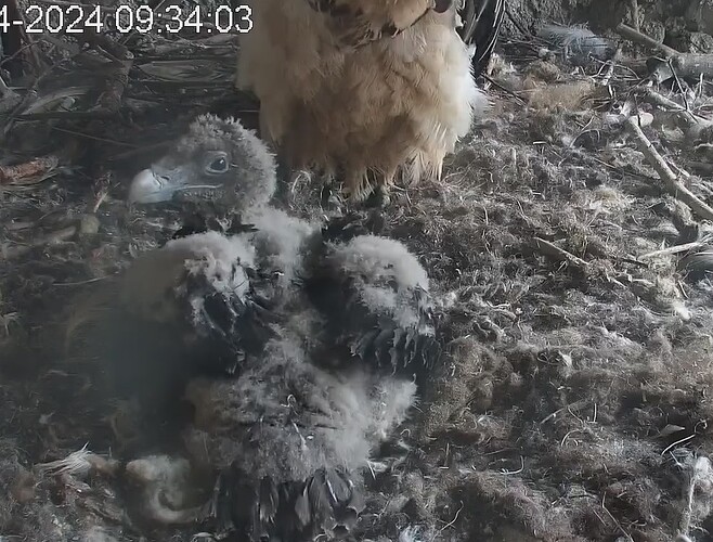 Nach dem Frühstück 18.04.24