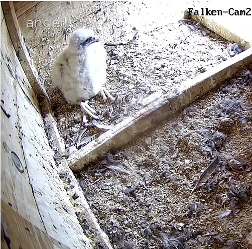 Screenshot_20230512-163803~2