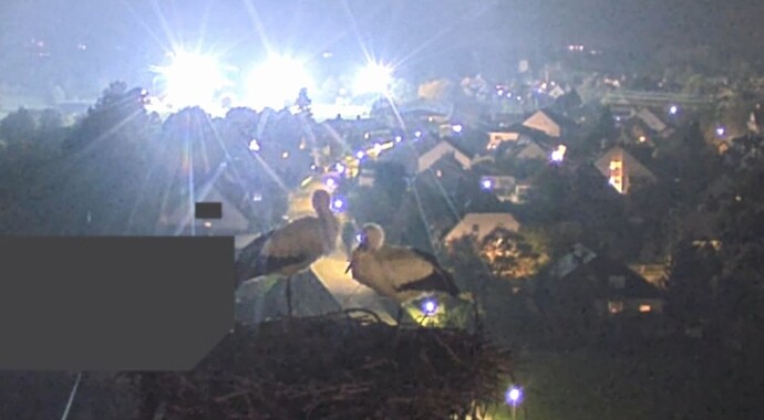 Screenshot_2024-10-25-19-27-01-303_com.android.chrome