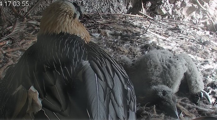 Eine Runde Schlaf tut gut 07.04.24