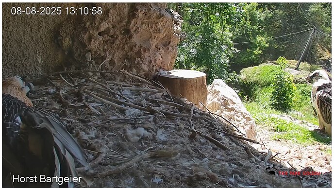 Screenshot_20250808-131206~2