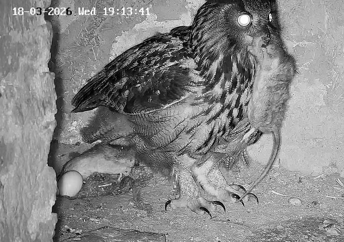 Screenshot_20260318_213826_YouTube