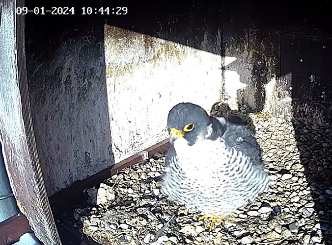 Screenshot_20240109_104142_Samsung Internet