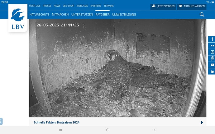 Screenshot_20250526-223900_Chrome