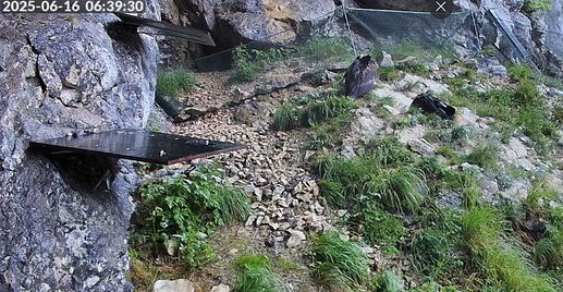 Snap_2025.06.16_06h39m58s_002_