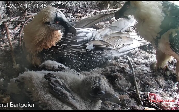 Screenshot_20240415-143349~2